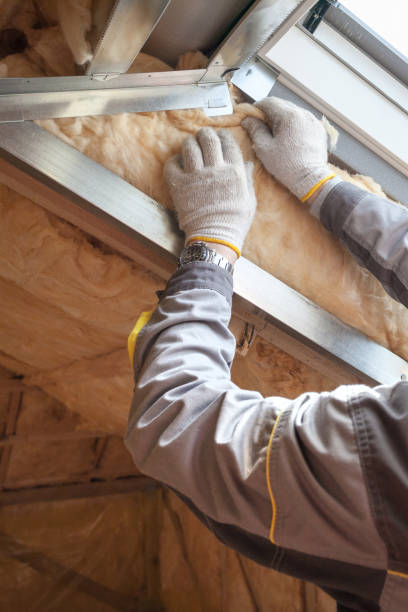 Best Commercial Insulation in Flora, IN