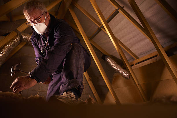 Best Insulation Maintenance and Repair in Flora, IN